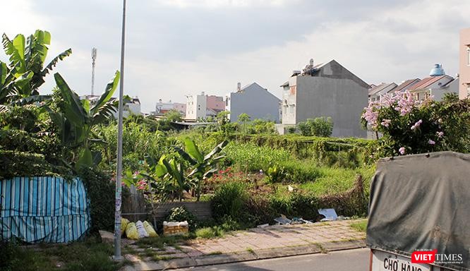 Hệ thống điện, đường, nước sinh hoạt đã được hoàn tất trong khu vực dự án nhà ở mà ông Lê Tấn Hùng đã bán cho công ty Phong Phú.