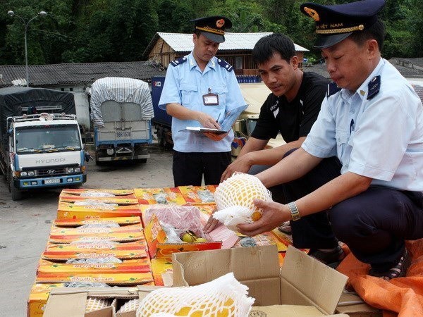 20 tỷ USD từ TQ vào Việt Nam: Đi đâu không biết? ảnh 1