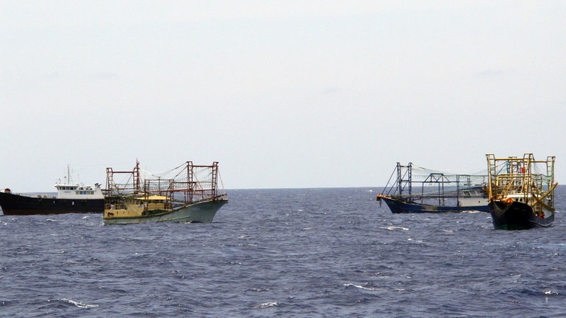 Tàu cá Trung Quốc liên tục xâm phạm chủ quyền của Việt Nam để đánh bắt hải sản trái phép - Ảnh: Hữu Khá