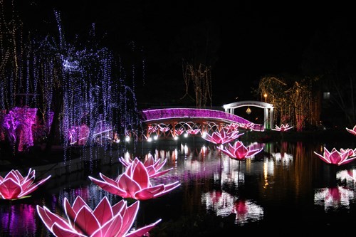 Đại gia tỉnh lẻ thuê Đàm Vĩnh Hưng, chi 14 tỉ đồng làm đám cưới con gái ảnh 1