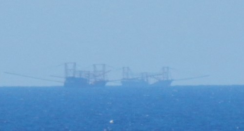 Tàu Trung Quốc tăng đột biến quanh bãi ngầm thuộc Bà Rịa-Vũng Tàu ảnh 1 Tàu Trung Quốc tăng đột biến quanh bãi ngầm thuộc Bà Rịa-Vũng Tàu ảnh 1