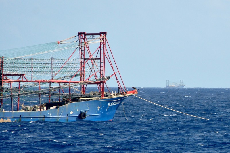 Tàu Trung Quốc tăng đột biến quanh bãi ngầm thuộc Bà Rịa-Vũng Tàu ảnh 11 Tàu Trung Quốc tăng đột biến quanh bãi ngầm thuộc Bà Rịa-Vũng Tàu ảnh 11