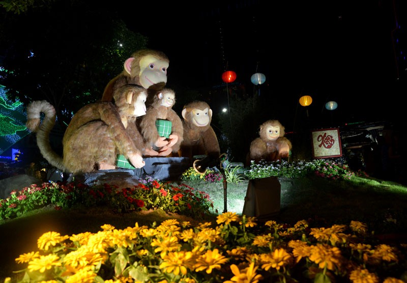 Tân Bí thư Đinh La Thăng dạo đường hoa, chụp selfie với người Sài Gòn ảnh 18 Tân Bí thư Đinh La Thăng dạo đường hoa, chụp selfie với người Sài Gòn ảnh 18