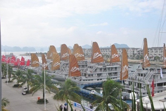 Đại gia xin lấn Vịnh Hạ Long xây biệt thự giàu cỡ nào? ảnh 4