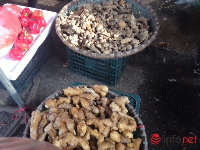 Nghịch lý: Giải cứu nông sản Việt, nông sản Trung Quốc vẫn chiếm chợ ảnh 1