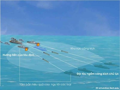 'Mãnh hổ' Kilo Việt Nam ra uy thế nào? - ảnh 7