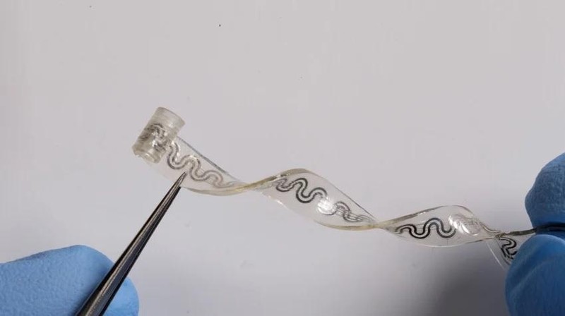 Thiết bị cấy ghép giảm đau mềm, linh hoạt, tương thích sinh học và tự tiêu trong cơ thể. Ảnh NewScutters.