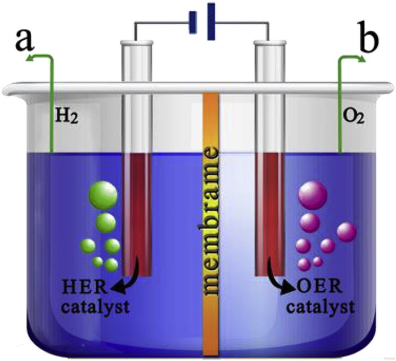 Sơ đồ hệ thống hai điện cực phân tách nước tổng thể. HER, phản ứng phân tách hydro; OER, phản ứng phân tách oxy. Ảnh TechXplore.