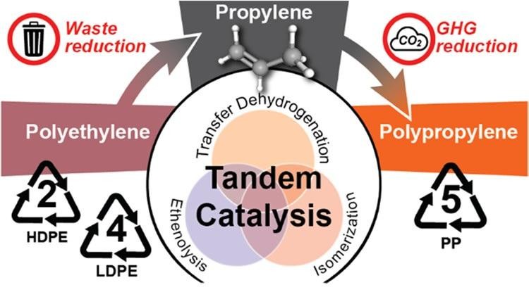 Quy trình chuyển hóa nhựa polyethylene thành nhựa polypropylene có thể tái chế. Ảnh ACS Publications
