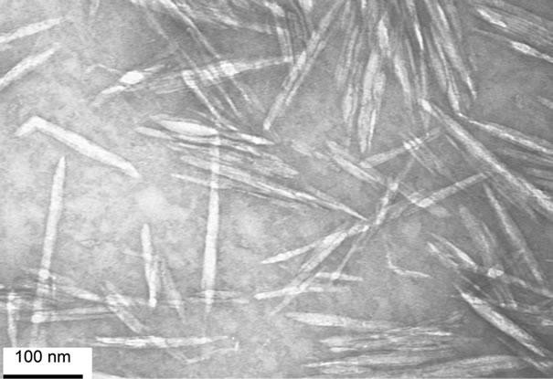 Các tinh thể nano cellulose phóng đại cao được chiết xuất từ thực vật. Ảnh Courtesy năm 2013 J. Vincent Edwards và cộng sự.