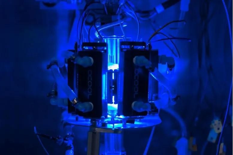 Thiết bị xúc tác quang, sử dụng trong các thử nghiệm chất xúc tác quang plasmonic đồng-sắt để sản xuất hydro từ amoniac. Ảnh Brandon Martin/Đại học Rice