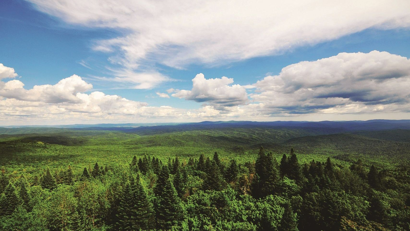 Vườn quốc gia hổ và báo hoa mai Đông Bắc Trung Quốc ở đông bắc Trung Quốc. Ảnh Cơ quan Quản lý Lâm nghiệp và Đồng cỏ Quốc gia.