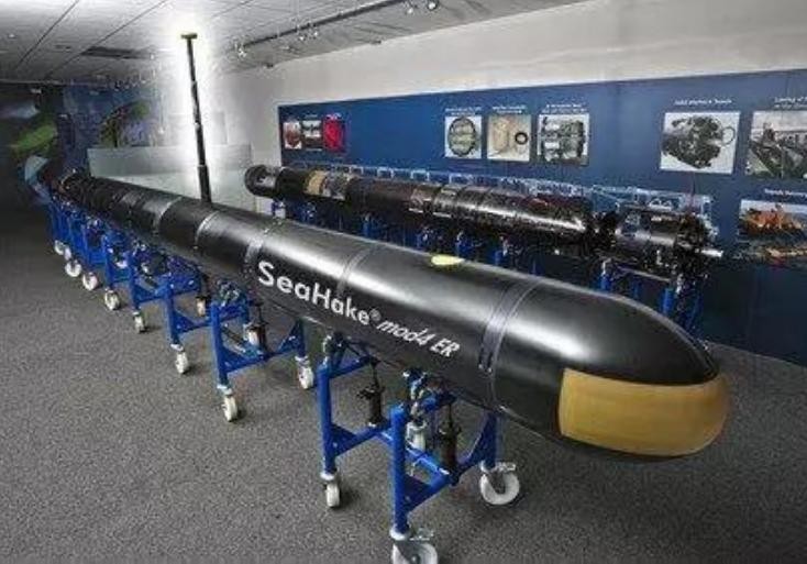 Ngư lôi hạng nặng DM2A4 Đức. Ảnh: Sina