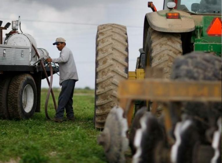 EU có thể tiến hành trợ cấp nông nghiệp như Mỹ. Ảnh: Ifeng.