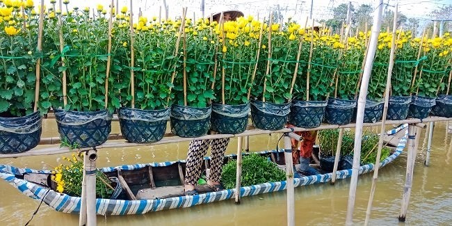 Một khoảng lặng miền Tây trước Tết cổ truyền qua ống kính OPPO F5 - Ảnh 14