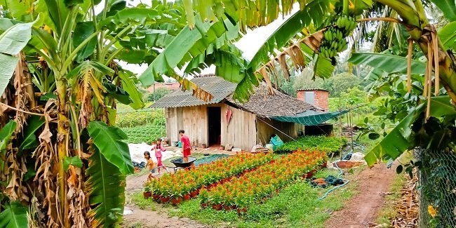 Một khoảng lặng miền Tây trước Tết cổ truyền qua ống kính OPPO F5 - Ảnh 7