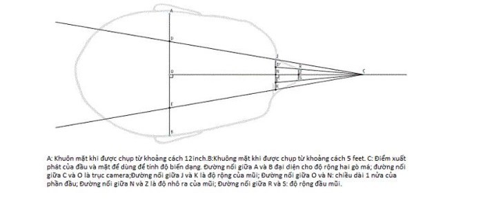 Bí mật sống ảo: Chụp selfie khiến mũi bạn trông to hơn thực tế - Ảnh 2