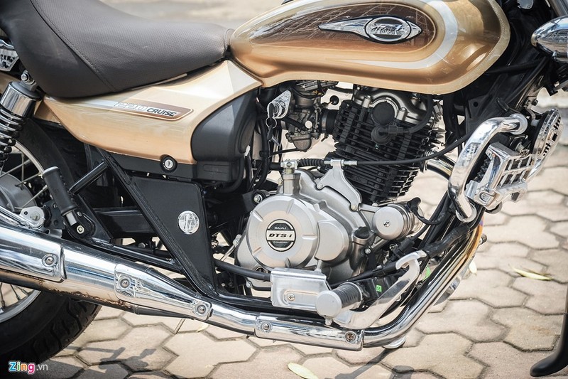 Bajaj Avenger Cruise sử dụng động cơ DTS-i, xi-lanh đơn, 2 bu-gi đánh lửa, dung tích 220 phân khối, làm mát bằng dầu, công suất 18,76 mã lực tại 8.400 vòng/phút, mô-men xoắn cực đại 17,5 Nm tại 7.000 vòng/phút. Hộp số 5 cấp.