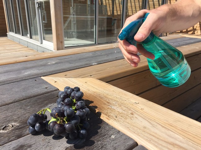 Chỉ với một chiếc bình xịt nước, bạn có thể khiến cho bức ảnh trở nên sinh động, nghệ thuật hơn rất nhiều.