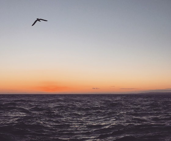 Đối với những người chụp ảnh không chuyên, chúng ta thường vô tình làm ảnh thêm rắc rối với nhiều chi tiết vật thể. Hãy thử làm điều ngược lại và cảm nhận sự khác biệt.