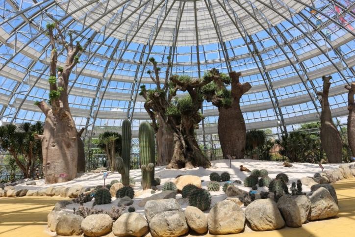 Những du khách lớn tuổi nay có thể tìm đến Đồi Vạn Hoa - không gian trong lành, xanh mát để thư thái tản bộ và tận hưởng không khí trong lành.