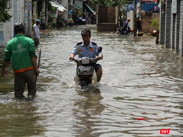 Khi có bão vào hiếm hoi như cơn bão số 9 lần này thì họ càng bận rộn