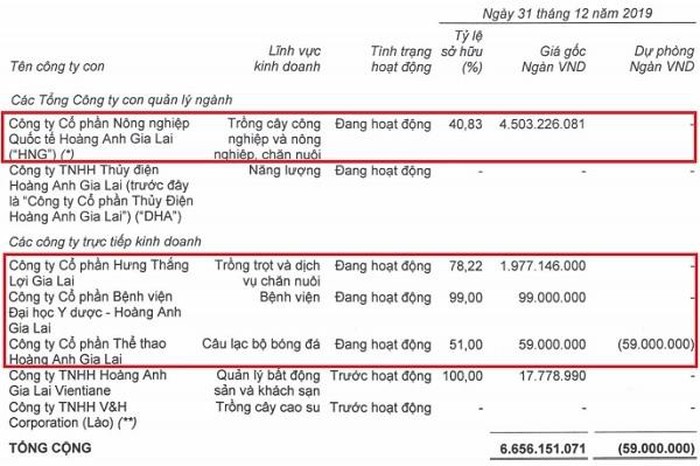 Đầu tư 59 tỷ đồng/mùa nhưng HAGL cũng chỉ "trụ hạng thành công". Ảnh HAGL Đầu tư 59 tỷ đồng/mùa nhưng HAGL cũng chỉ