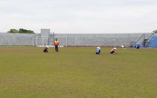 Quang cảnh bảo dưỡng sân Hà Tĩnh, chuyện chỉ có ở V.League. Ảnh HTFC