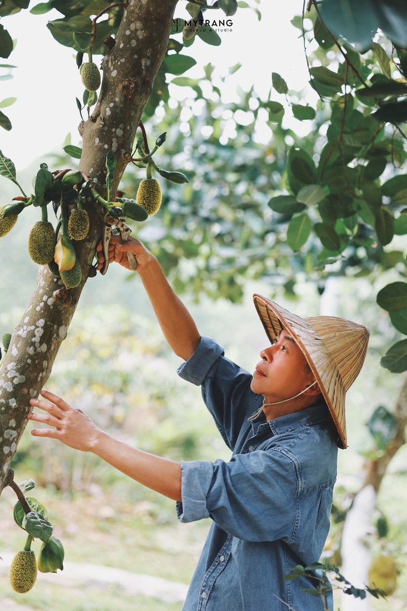 NSƯT Việt Hoàn chăm sóc trang trại