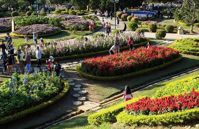 Lễ hội hoa trong Quần thể nghỉ dưỡng FLC