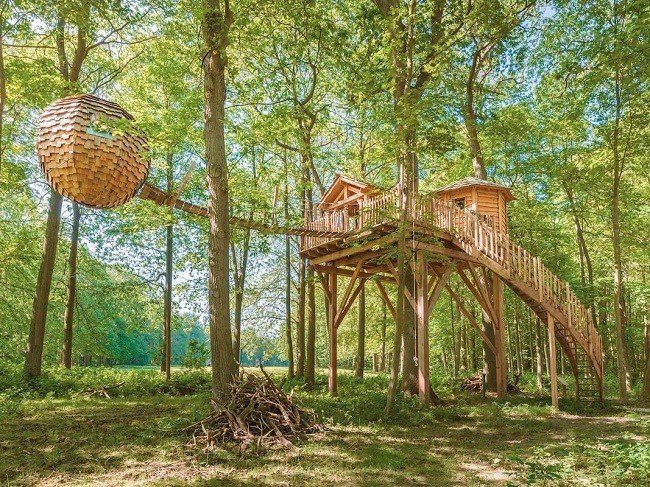 35 ngôi nhà trên cây tuyệt đẹp khiến bạn muốn sống thử một lần ảnh 10