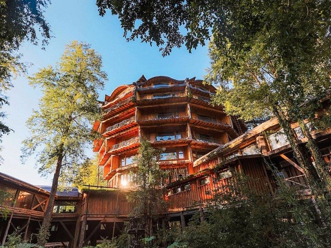 35 ngôi nhà trên cây tuyệt đẹp khiến bạn muốn sống thử một lần ảnh 30