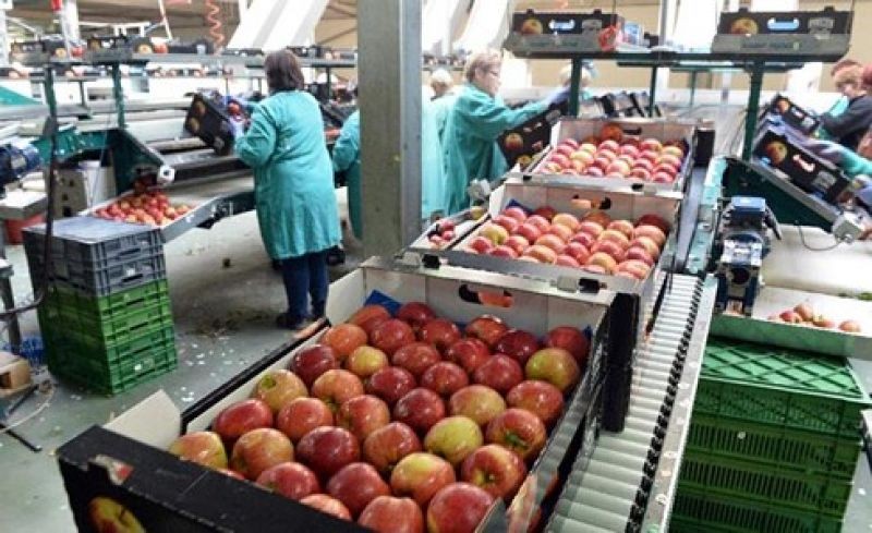 Các doanh nghiệp Nga ngày càng định hướng tập trung vào thị trường nội địa.