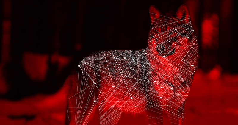 Hãy xem các thuật toán AI như động vật để hiểu chúng. Ảnh: Futurism.
