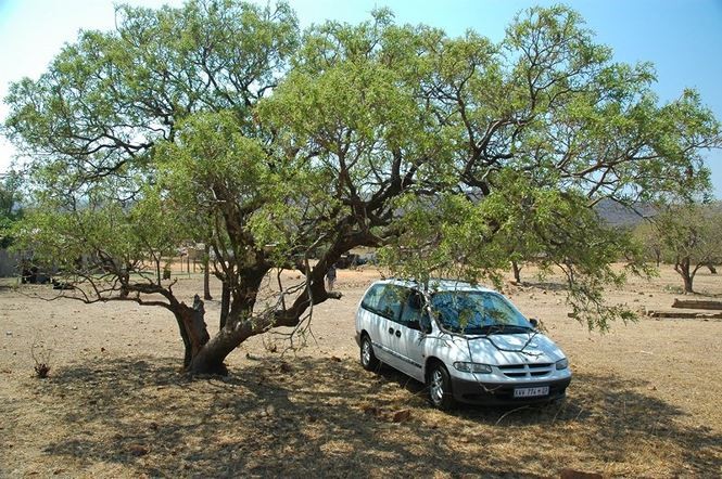 Các chú ý chống nóng cho ôtô trong trời nắng? - ảnh 5