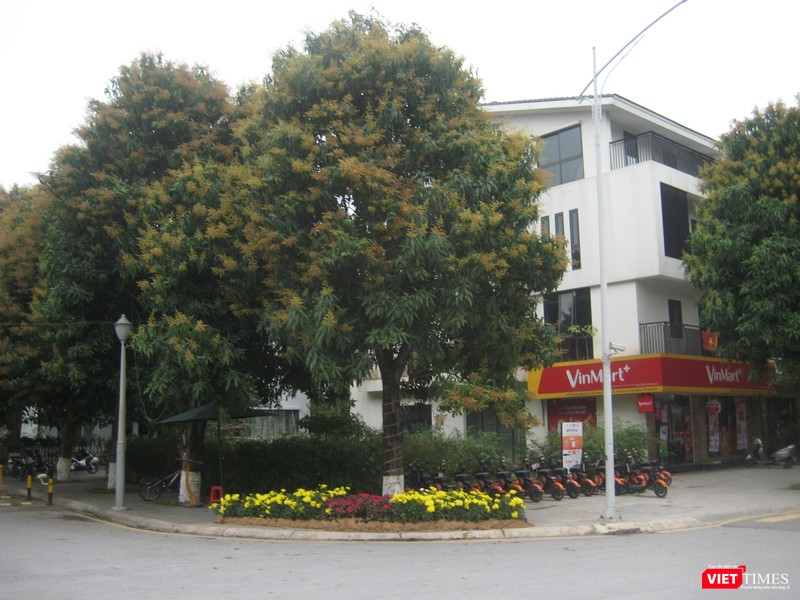 Cây xanh chiếm một tỷ lệ không nhỏ ở khu đô thị Ecopark Cây xanh chiếm một tỷ lệ không nhỏ ở khu đô thị Ecopark