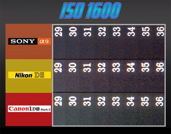 Đại chiến máy ảnh: Sony A9 với Canon 1D X Mark II và Nikon D5 ảnh 2