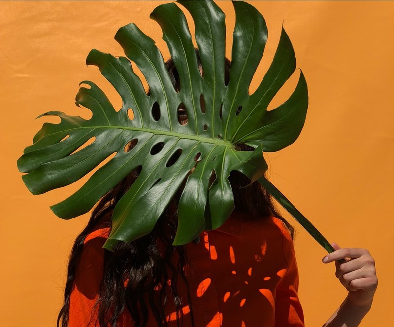 Chùm ảnh tuyệt đẹp chụp từ camera của iPhone X và iPhone 8 ảnh 10