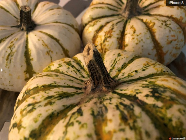 Ảnh chụp từ iPhone 6s và iPhone 8 cho thấy bạn không cần tốn tiền nâng cấp điện thoại ảnh 11