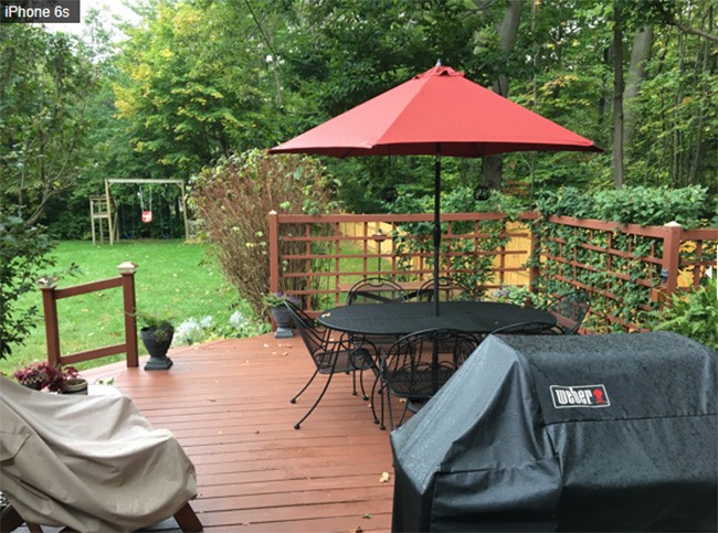 Ảnh chụp từ iPhone 6s và iPhone 8 cho thấy bạn không cần tốn tiền nâng cấp điện thoại ảnh 12