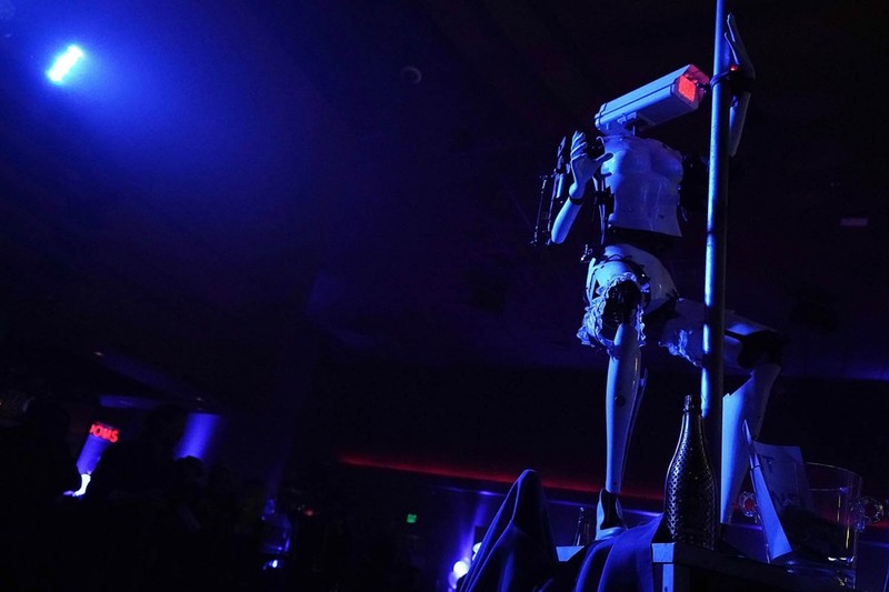 Xuất hiện Robot múa cột thoát y tại triển lãm CES 2018 ảnh 3