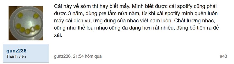 Spotify chính thức có mặt tại Việt Nam, giá thuê bao rất rẻ ảnh 2