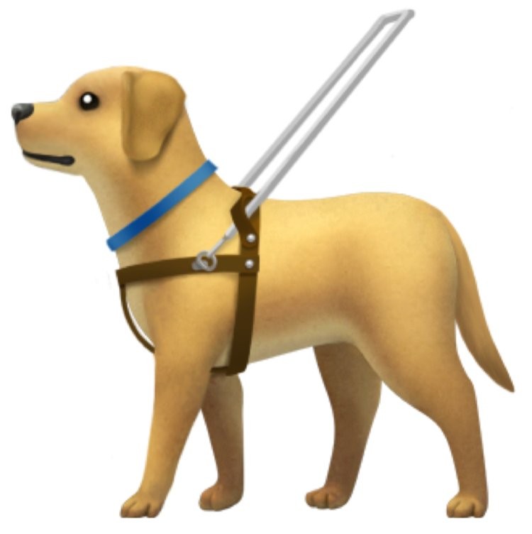 Cùng xem 13 biểu tượng cảm xúc mới mà Apple muốn cập nhật cho iPhone ảnh 1