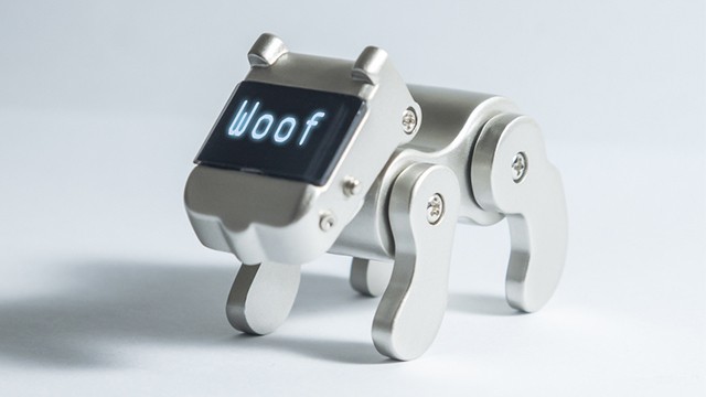 Các nhà khoa học đang dạy AI theo cách nghĩ của loài chó ảnh 2