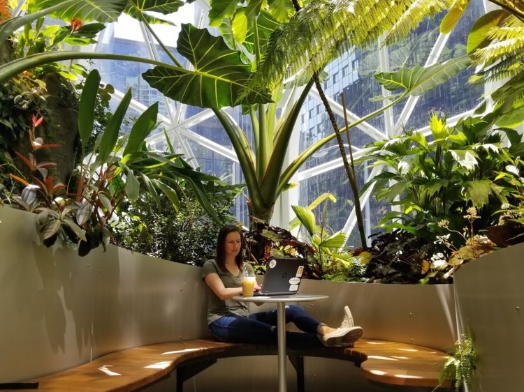 ảnh: Getty Images ảnh: Getty Images