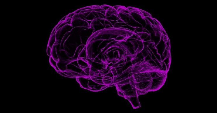 (ảnh minh họa: Pixabay)