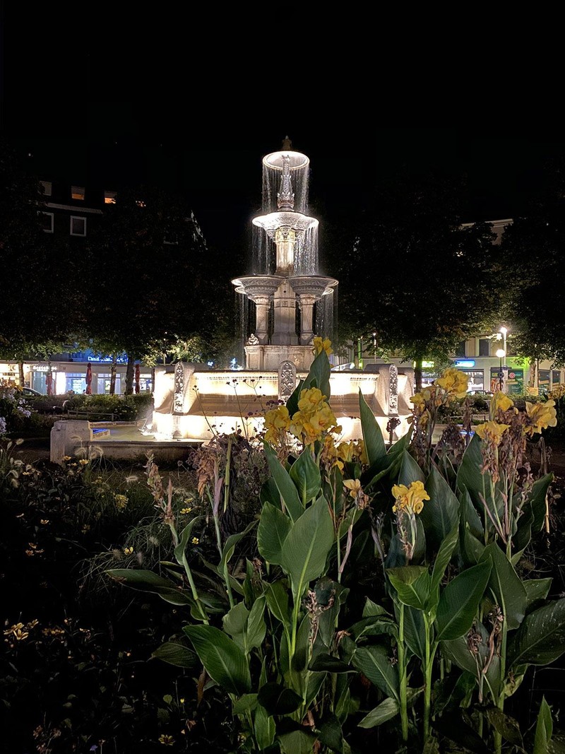 iPhone bật Night Mode iPhone bật Night Mode