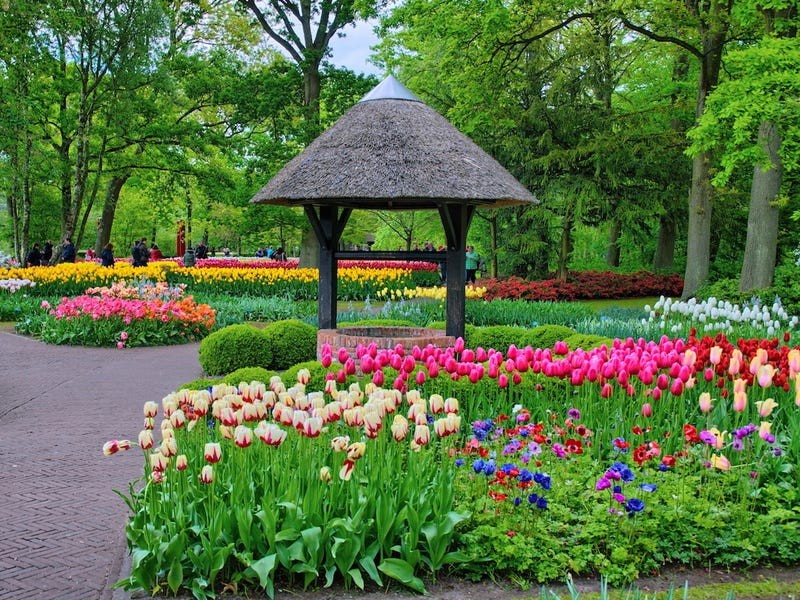 (ảnh: Shutterstock)