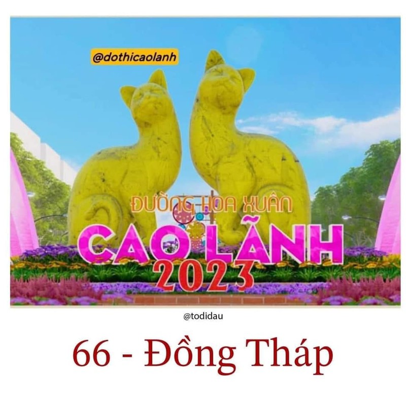 Đồng Tháp Đồng Tháp