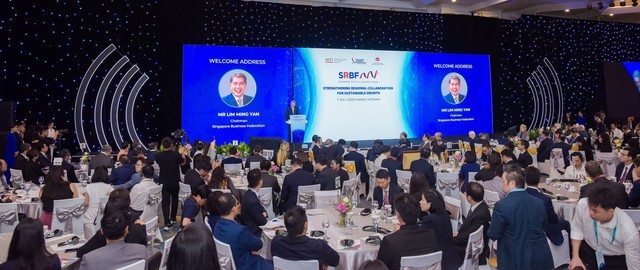 dien dan vietnam singapore.jpg